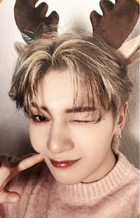 24'SG gm 特典卡 麋鹿