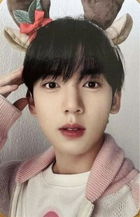 24'SG gm 特典卡 麋鹿