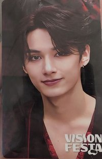 VISION FESTA 入場卡 / 場限卡 