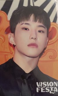 VISION FESTA 入場卡 / 場限卡 