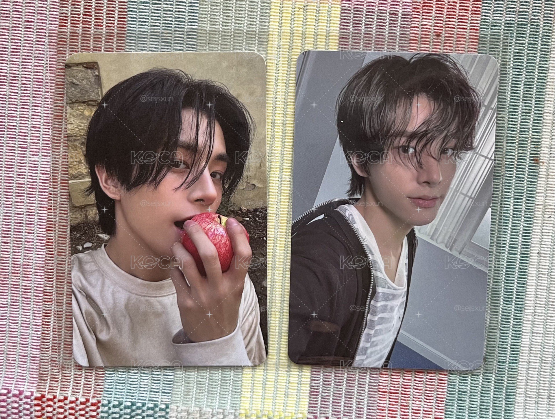 🍎倫卡 綁🐶