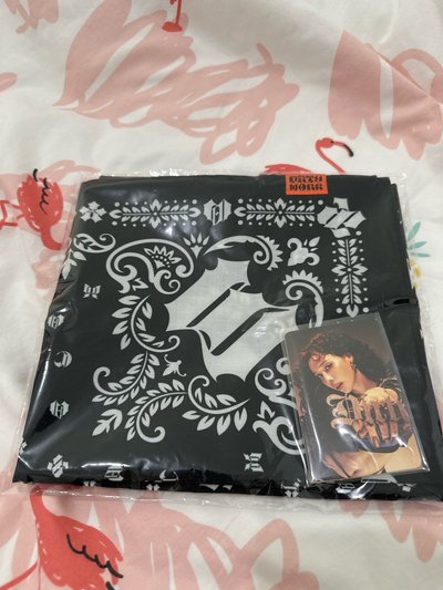 Dirty Work 手帕 頭巾-winter 全新未拆