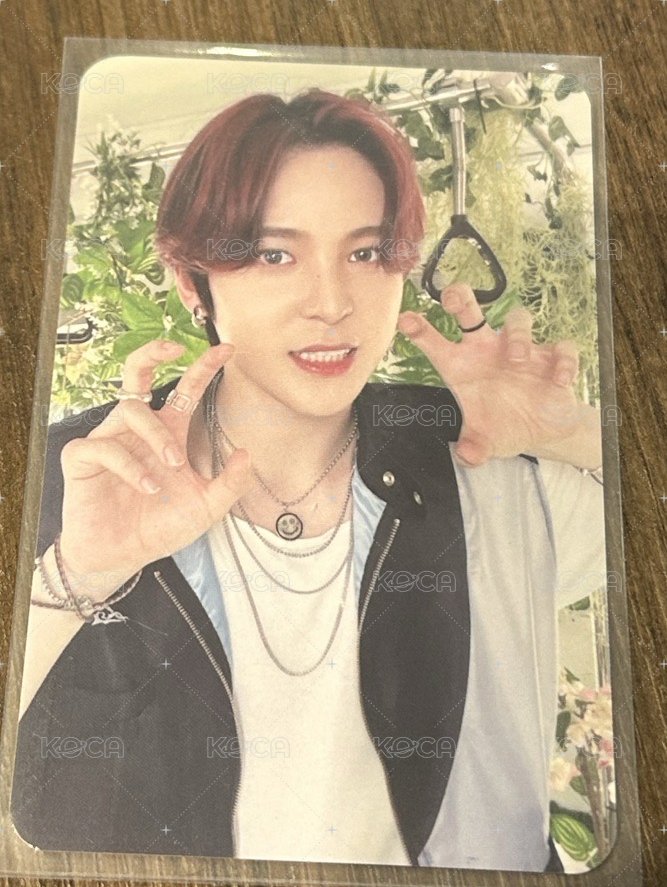 小狗汪汪