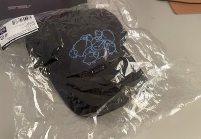 三麗鷗聯名 子瑜 雙子星 帽子