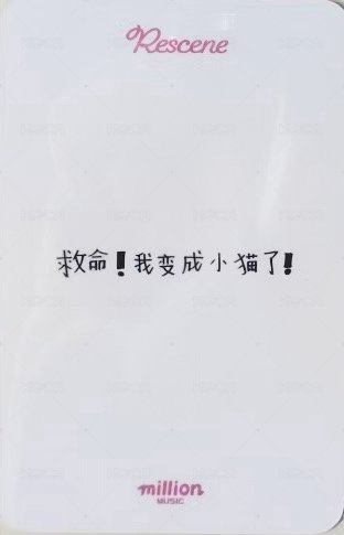 lip bomb MM 簽售卡 新年寄語 背面