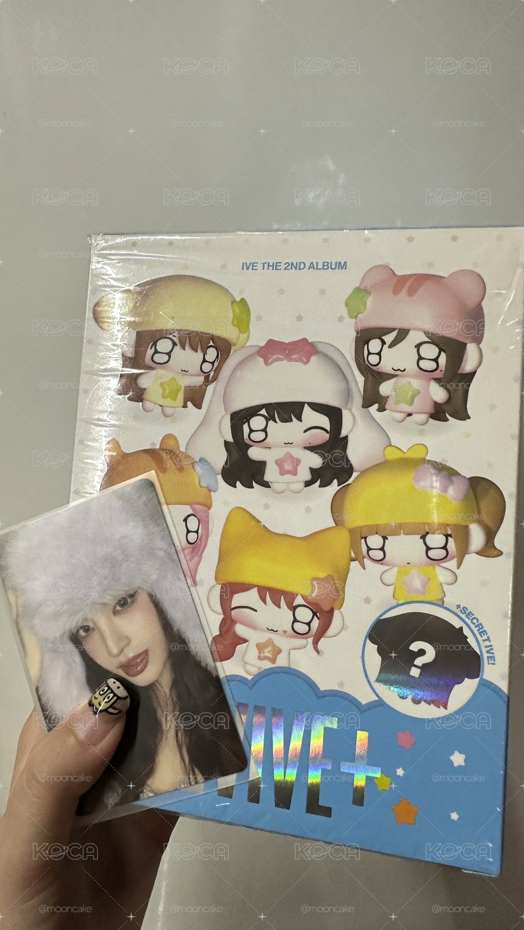 可愛的栗