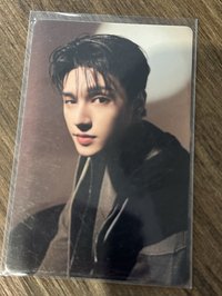 盯著你看的黑貓貓