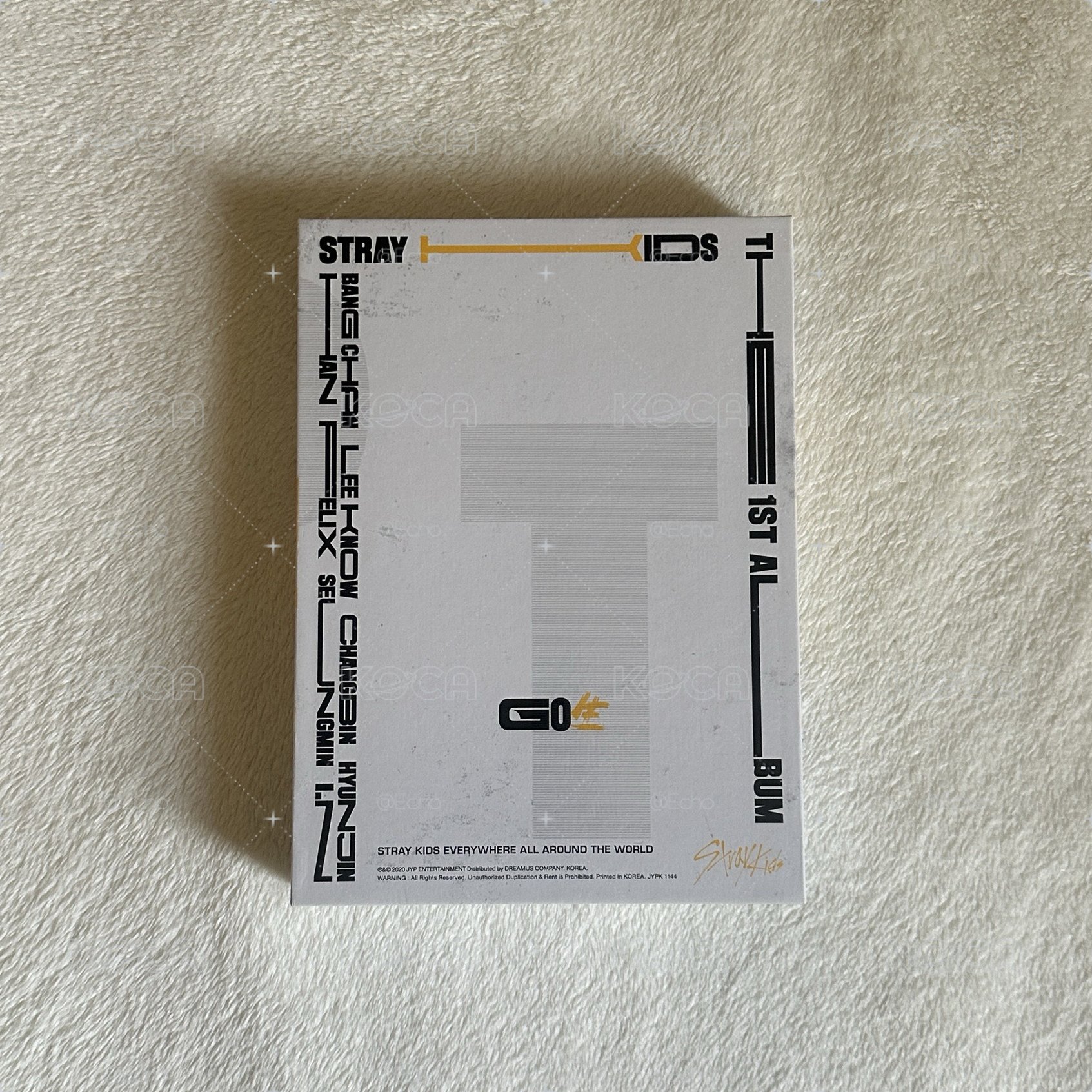 🎀SKZ GO生空專 黃版
