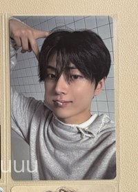 正規二後續 貓耳