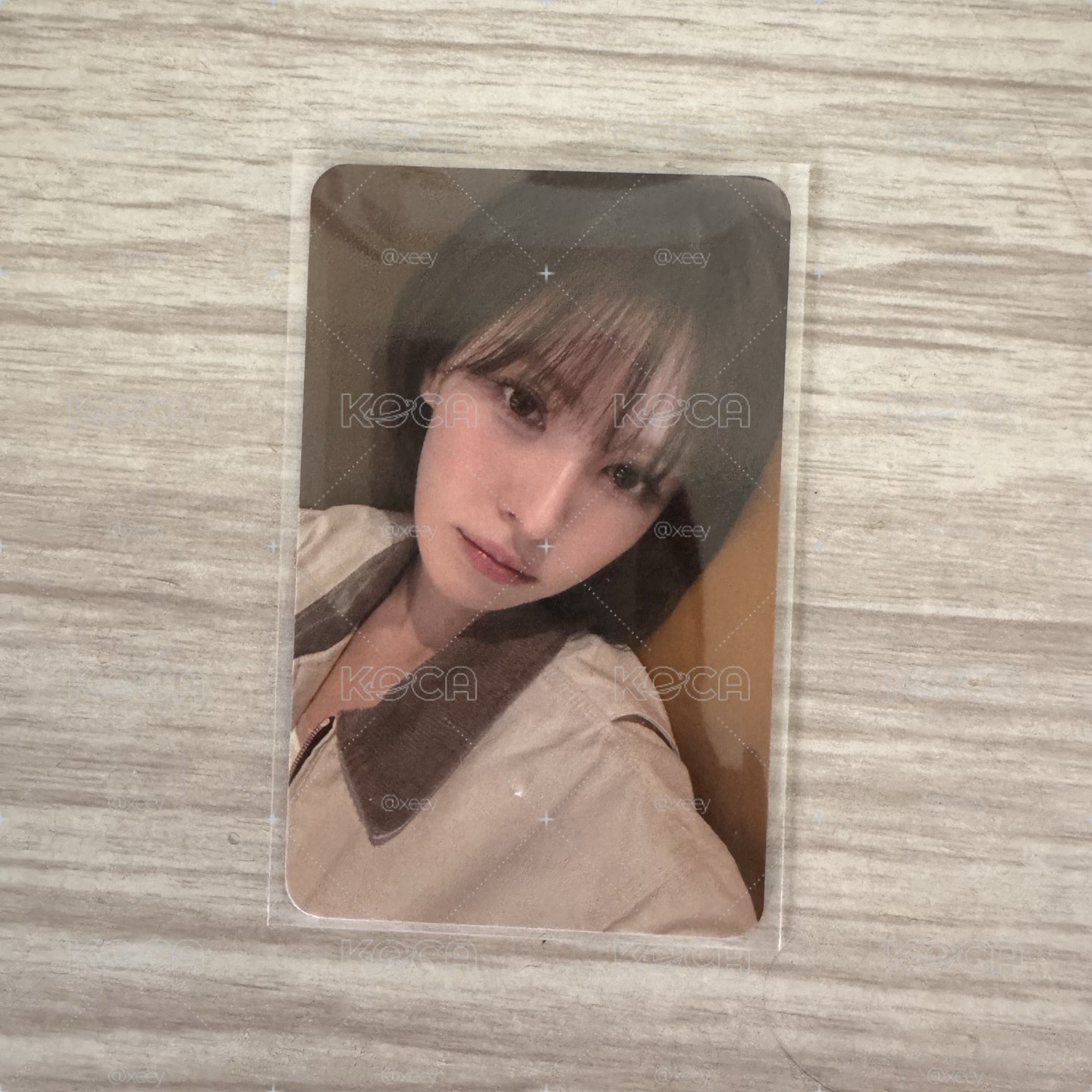 Wendy櫻花季入場小卡
