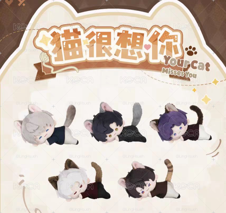 全新 貓很想你磁吸娃娃 祁煜