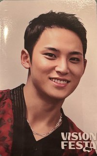 VISION FESTA 入場卡 / 場限卡 