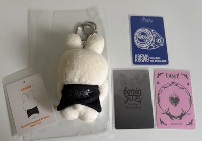 捧臉娃 李畢 leebit 附三張卡 吊飾娃