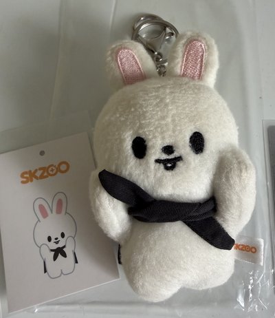 捧臉娃 李畢 leebit 附三張卡 吊飾娃