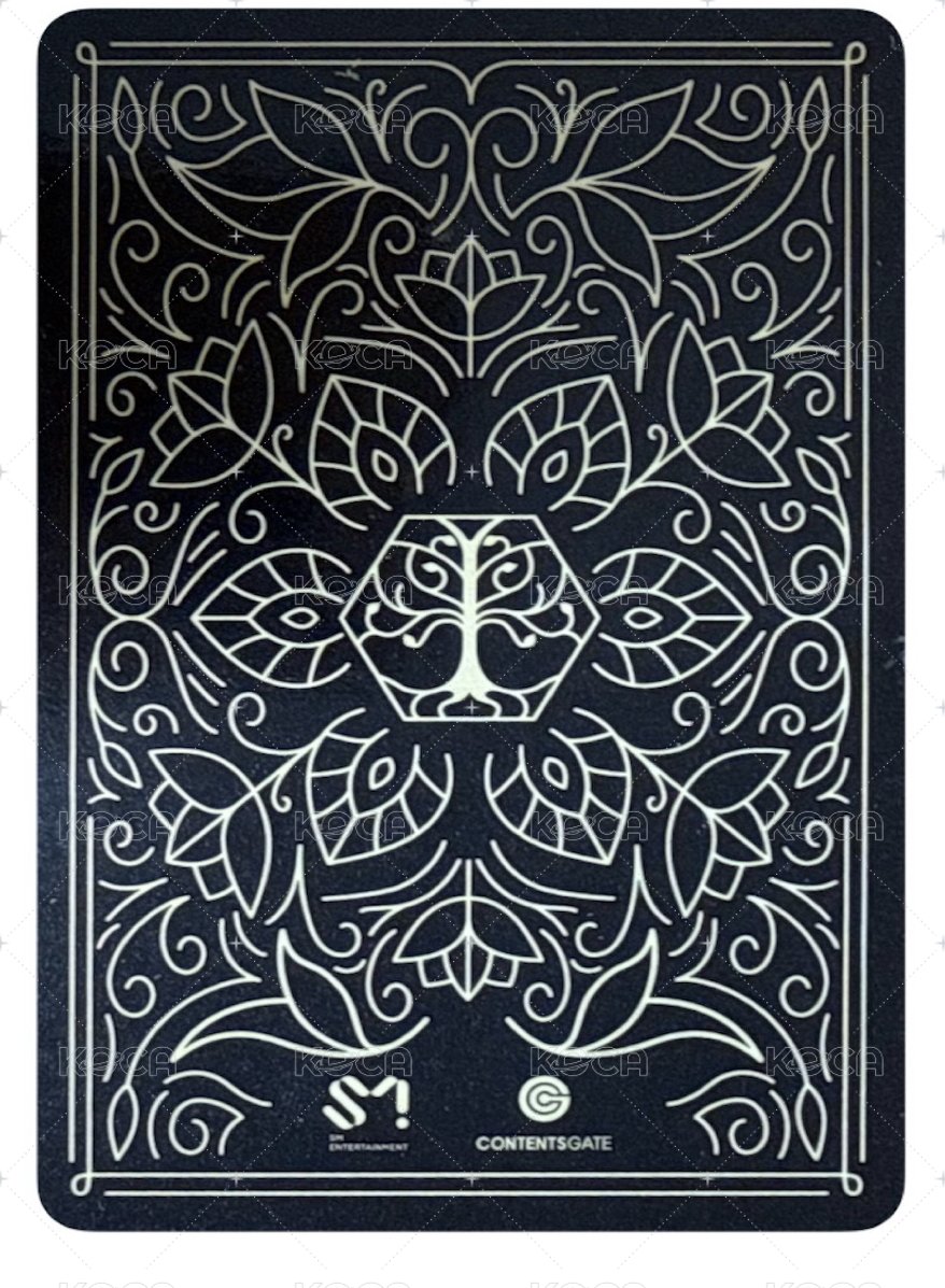 四巡 演唱會 DVD / CD 卡  背面