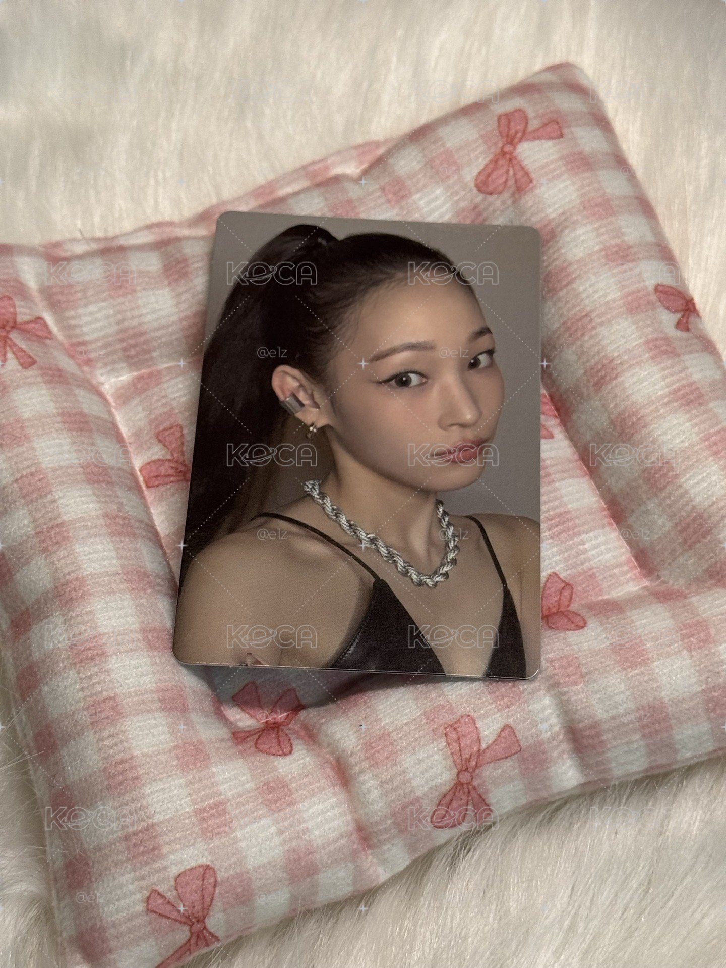 安妮專卡🦎