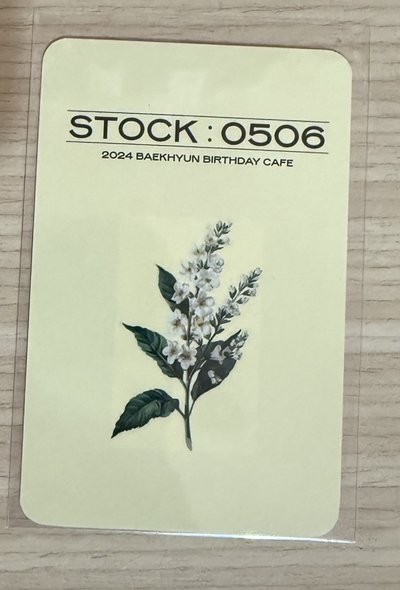 全封帽伯賢 生咖小卡