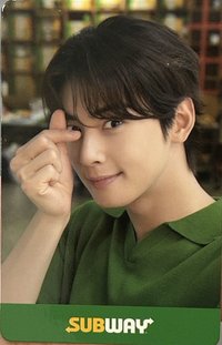 代言 代言卡 SUBWAY