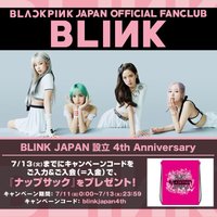 THE ALBUM JP blinkjapan4th