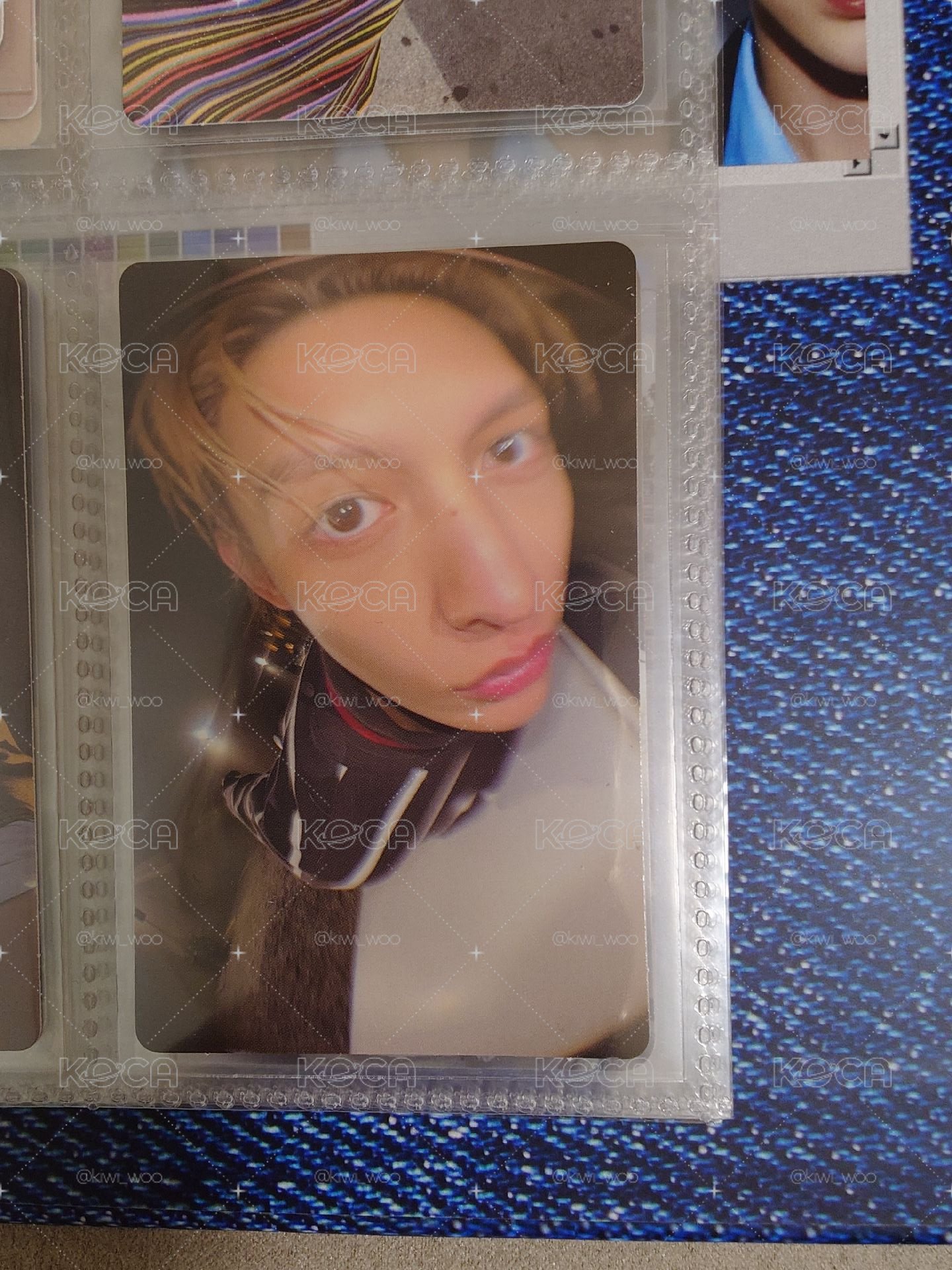 魚眼凡