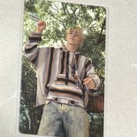 迷11 WVS特典卡（樹）