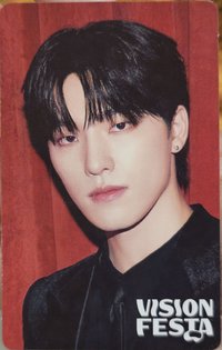 VISION FESTA 入場卡 / 場限卡 