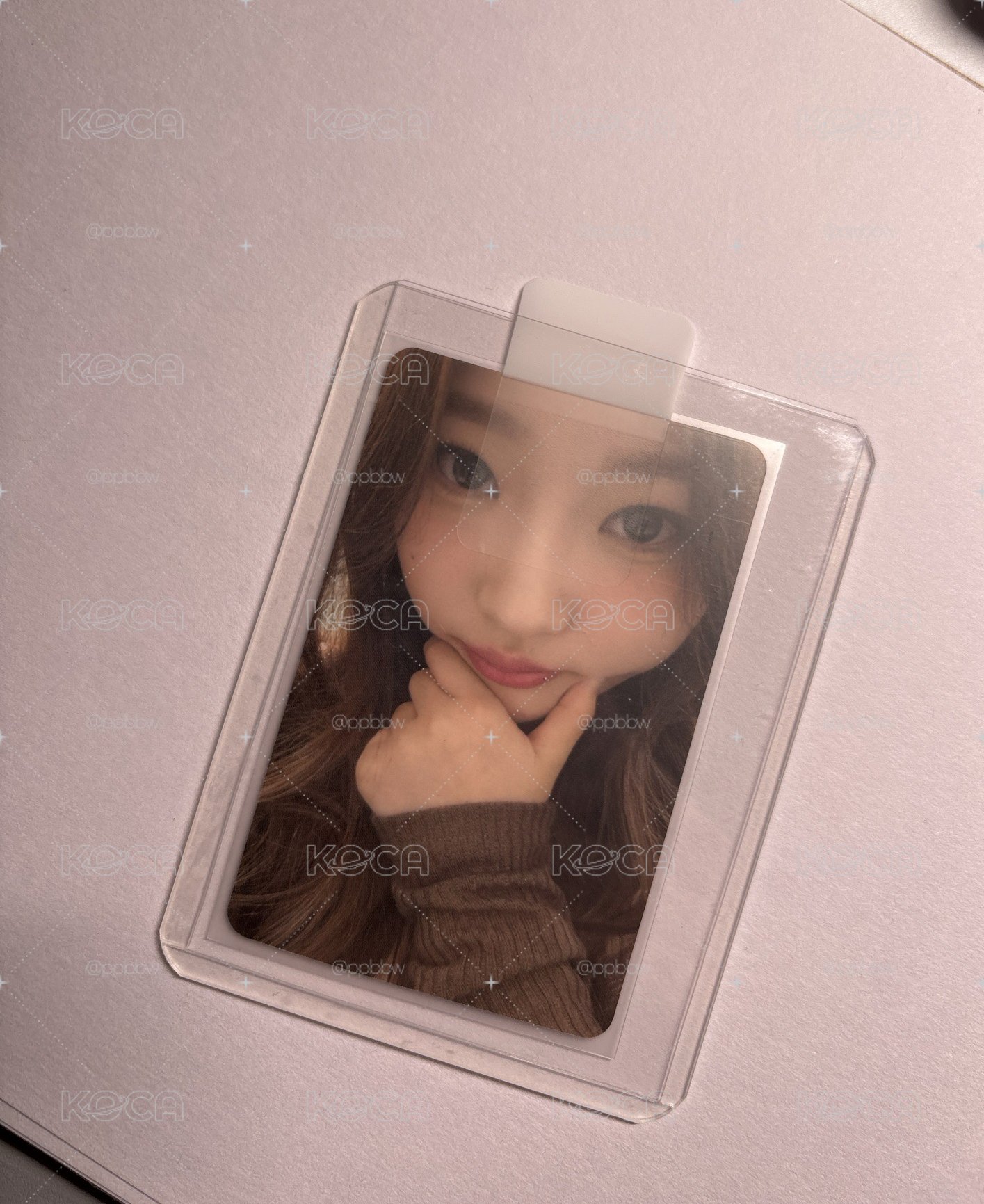 Stella thechase 星河3.0中文卡背