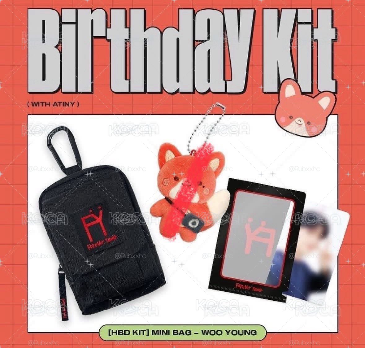 ⭐️Ateez birthday kit 不含娃