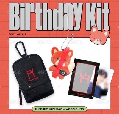 Ateez birthday kit 皆不含娃