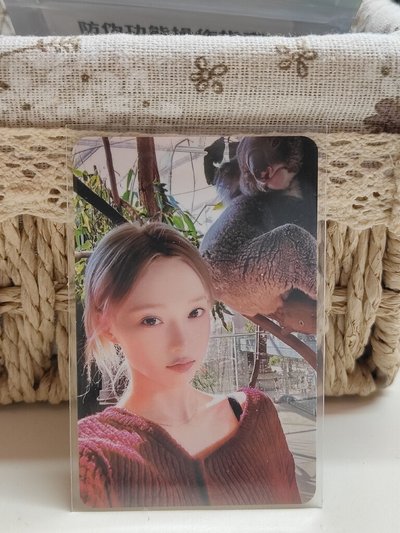 四星冬(咚咚敲門拉⛄