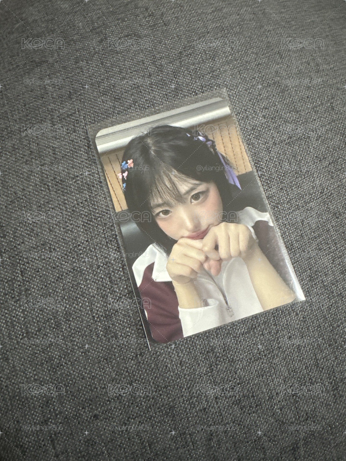貓貓拳娜