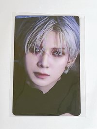 好漂亮馬爾濟斯