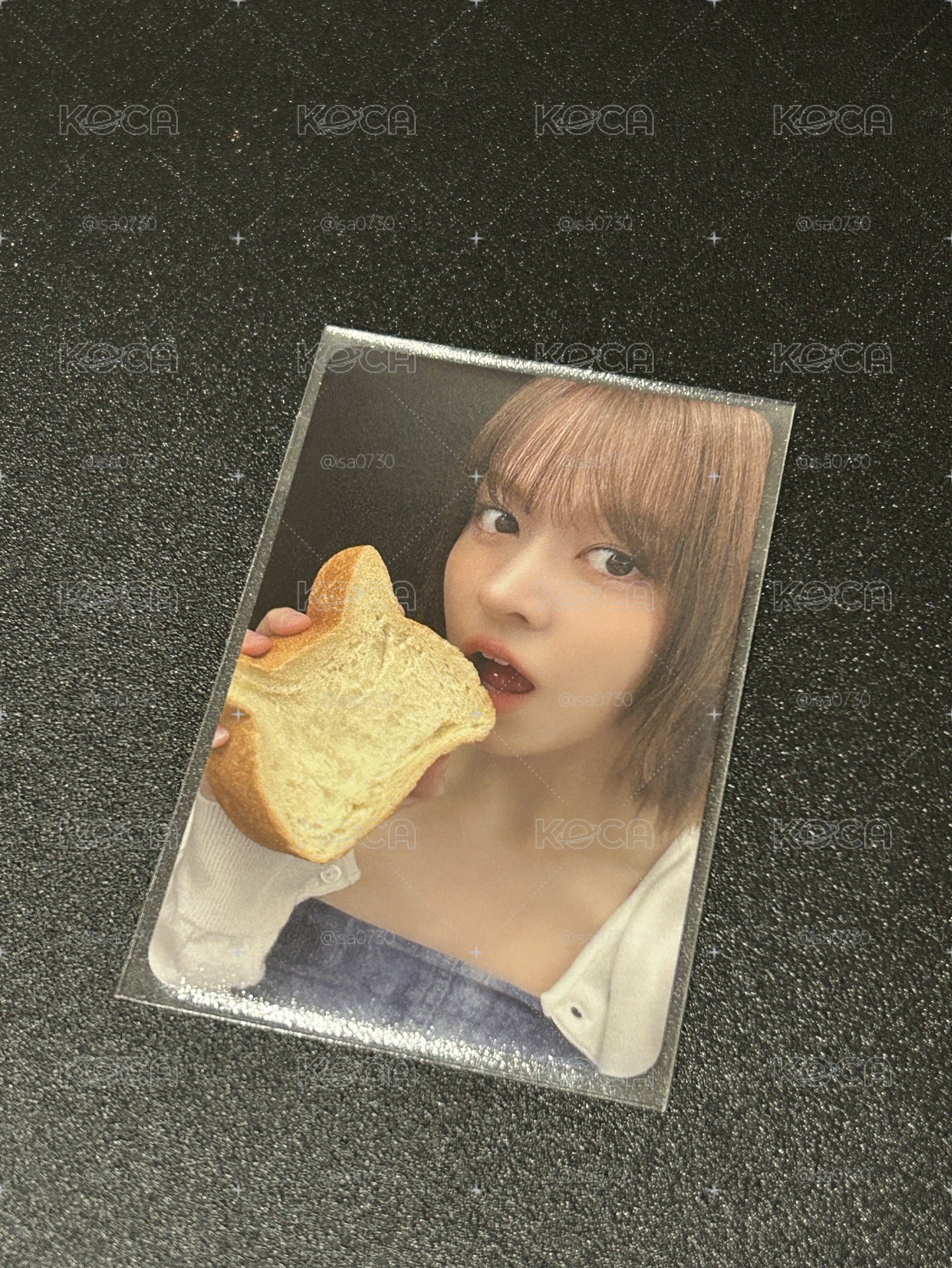 貓咪麵包莉嫄