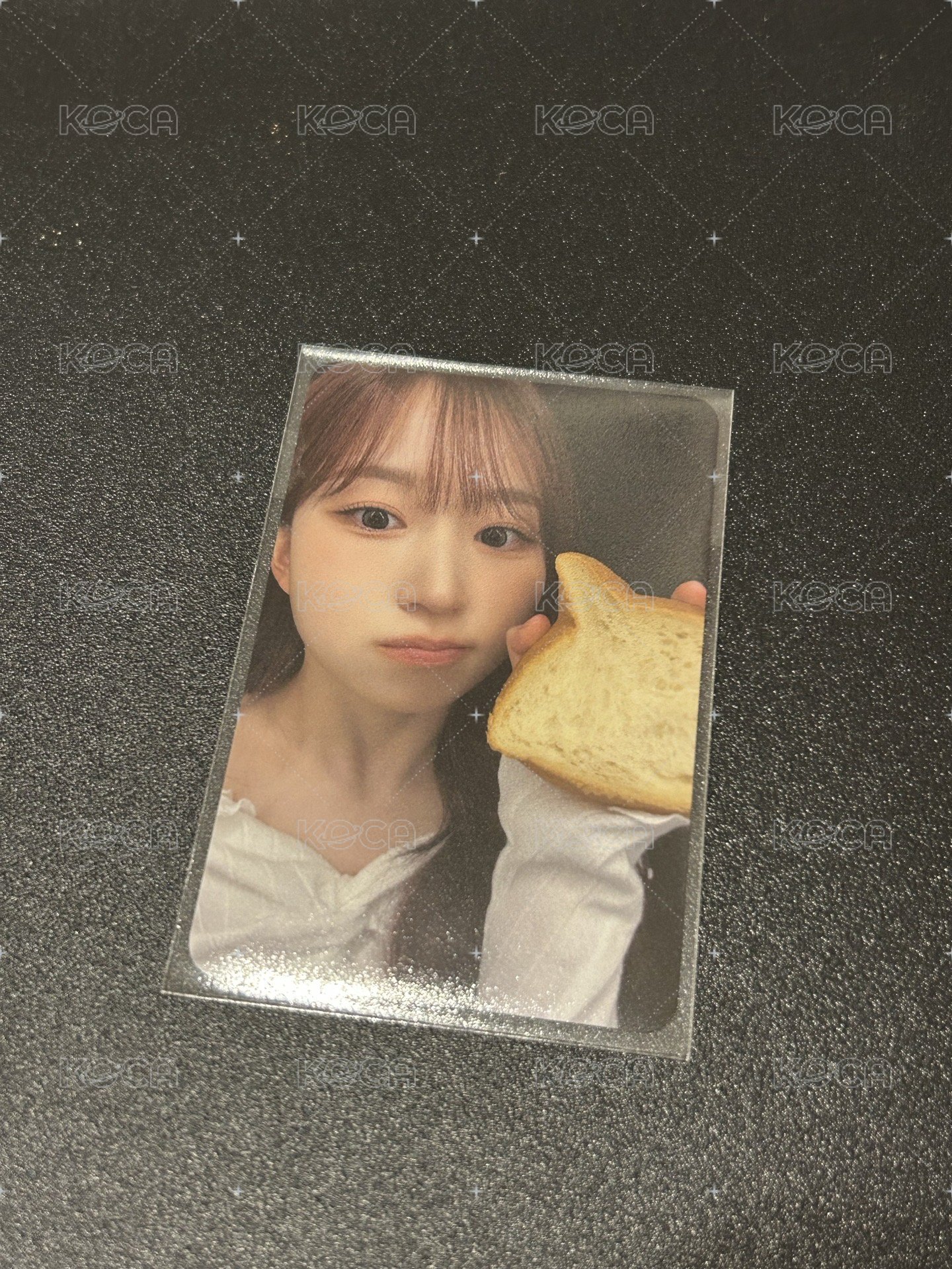 貓咪麵包莉嫄