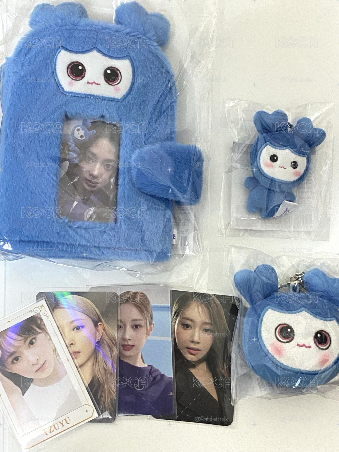 TWICE 子瑜 FM 卡冊 豆豆眼娃 大頭吊飾 SET