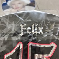 靜岡菲扇（有大損）