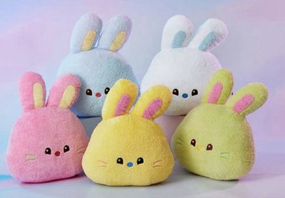 （現貨 全新未拆可當日寄出） newjeans linefriends 聯名抱枕 Hanni minji haerin 