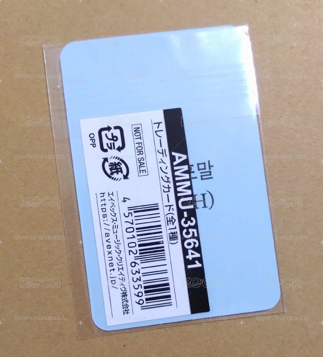 道英 青春的泡沫  mumo特典