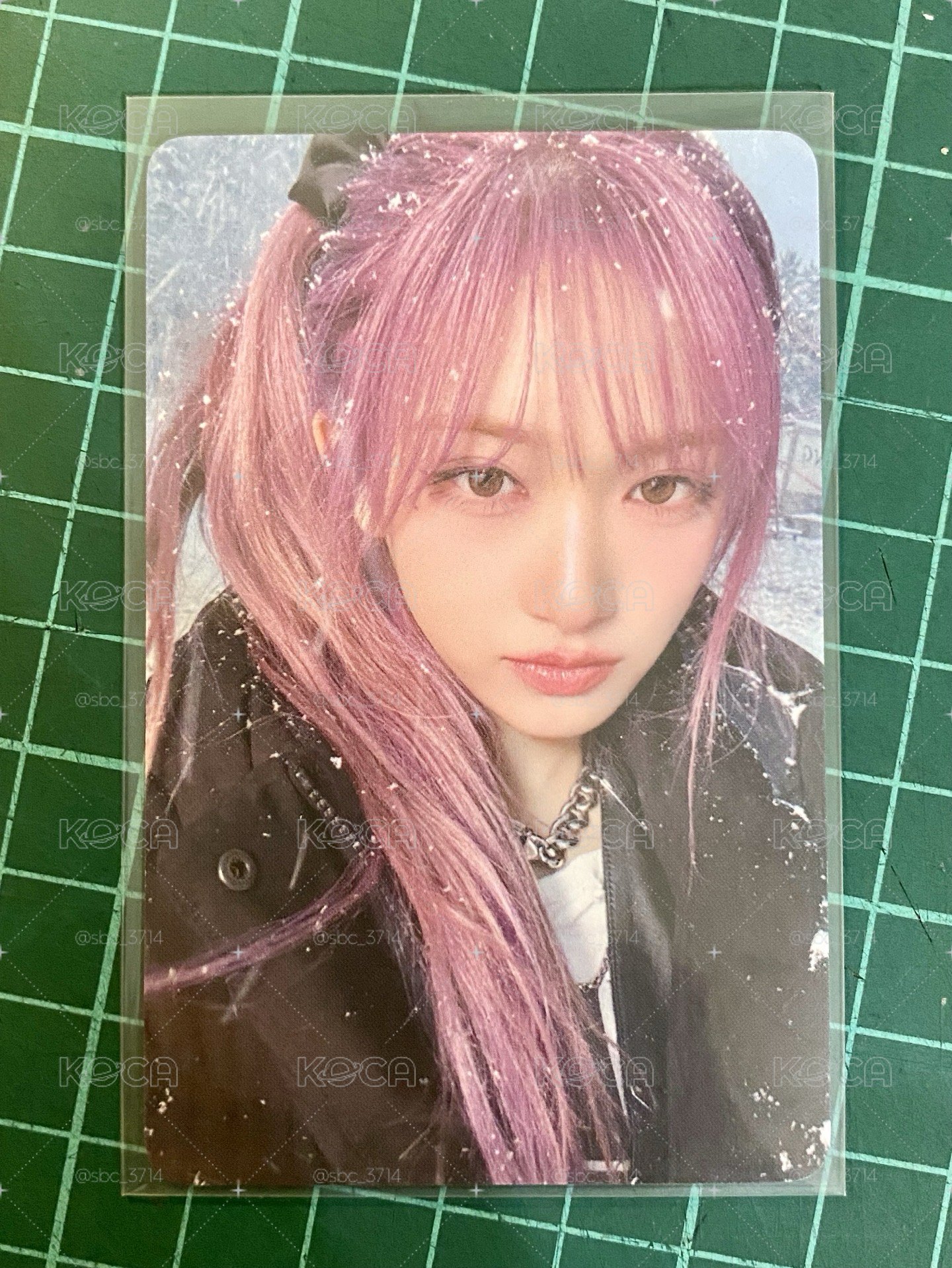 雪地瑞