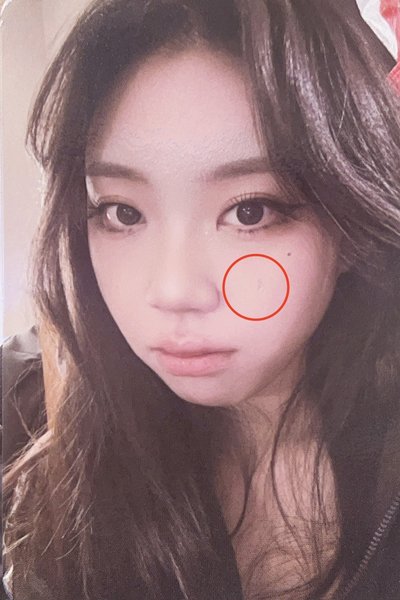 314高雄櫻花季卡