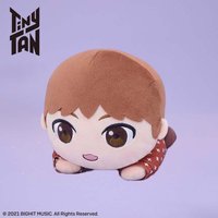 TinyTAN Dynamite 趴娃 