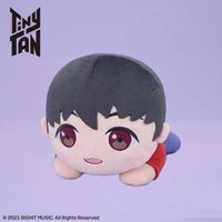 TinyTAN Dynamite 趴娃 