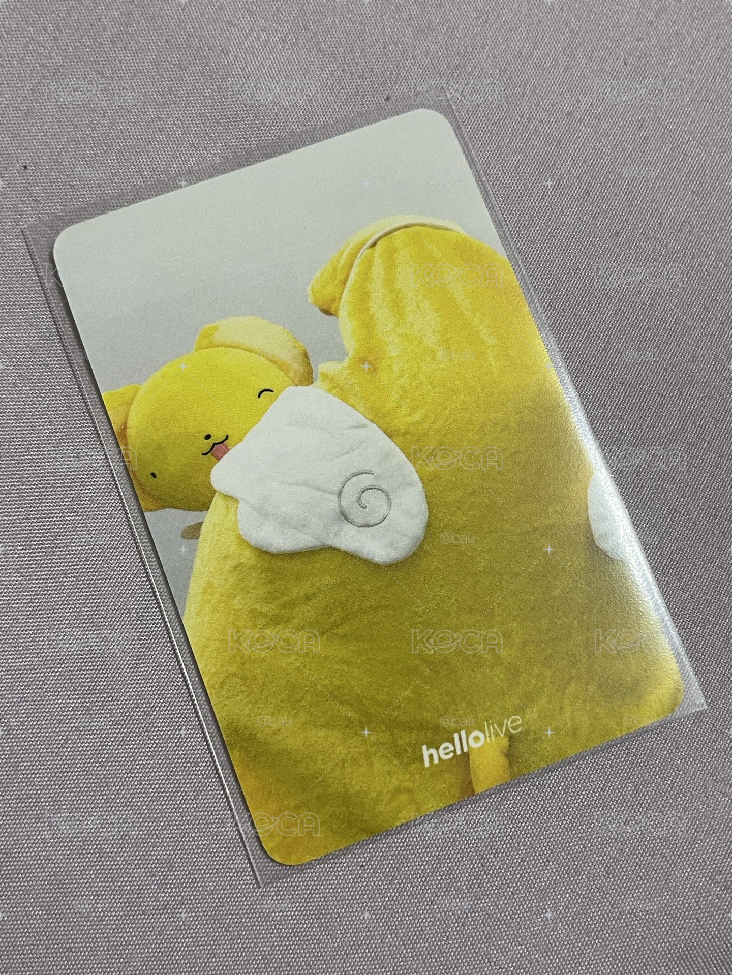 hl特典 崔傘雙面小可卡