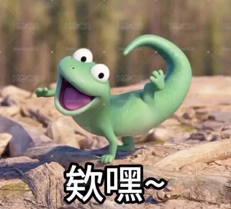 五五專屬