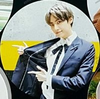 STAR;DOM 專輯卡 