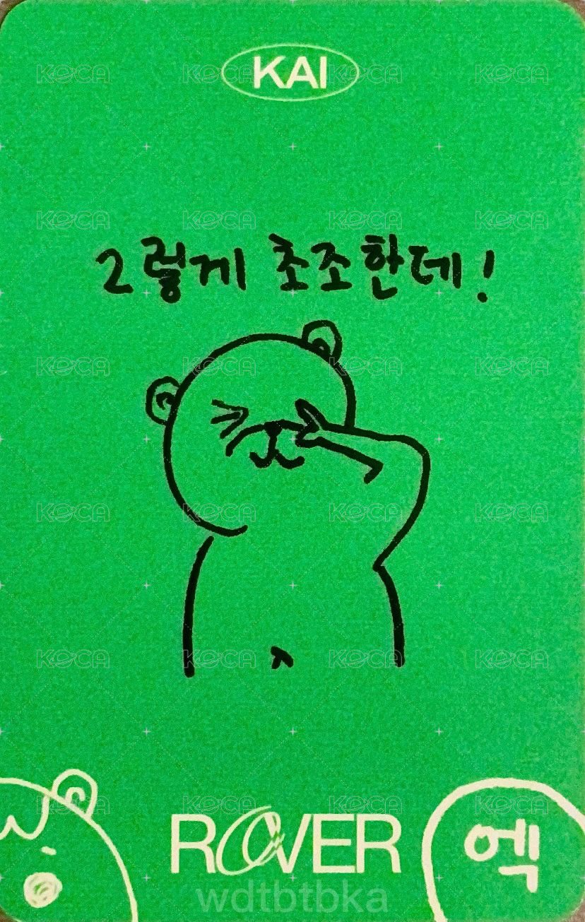 Rover 專輯卡  背面