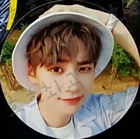 STAR;DOM 專輯卡 