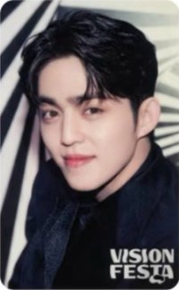 VISION FESTA 入場卡 / 場限卡 
