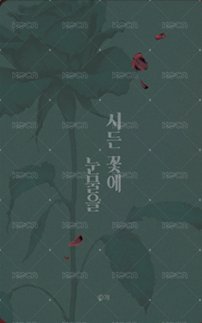 周邊卡 香水特典卡 背面