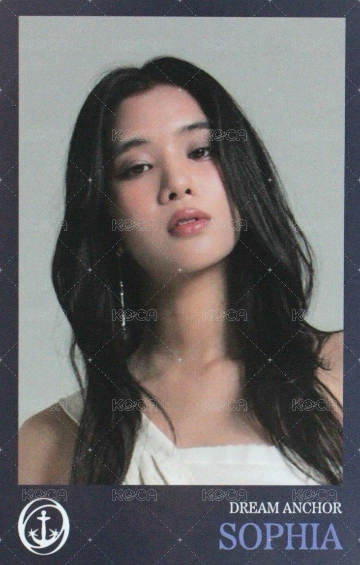 SIS 黑膠 專輯卡  背面